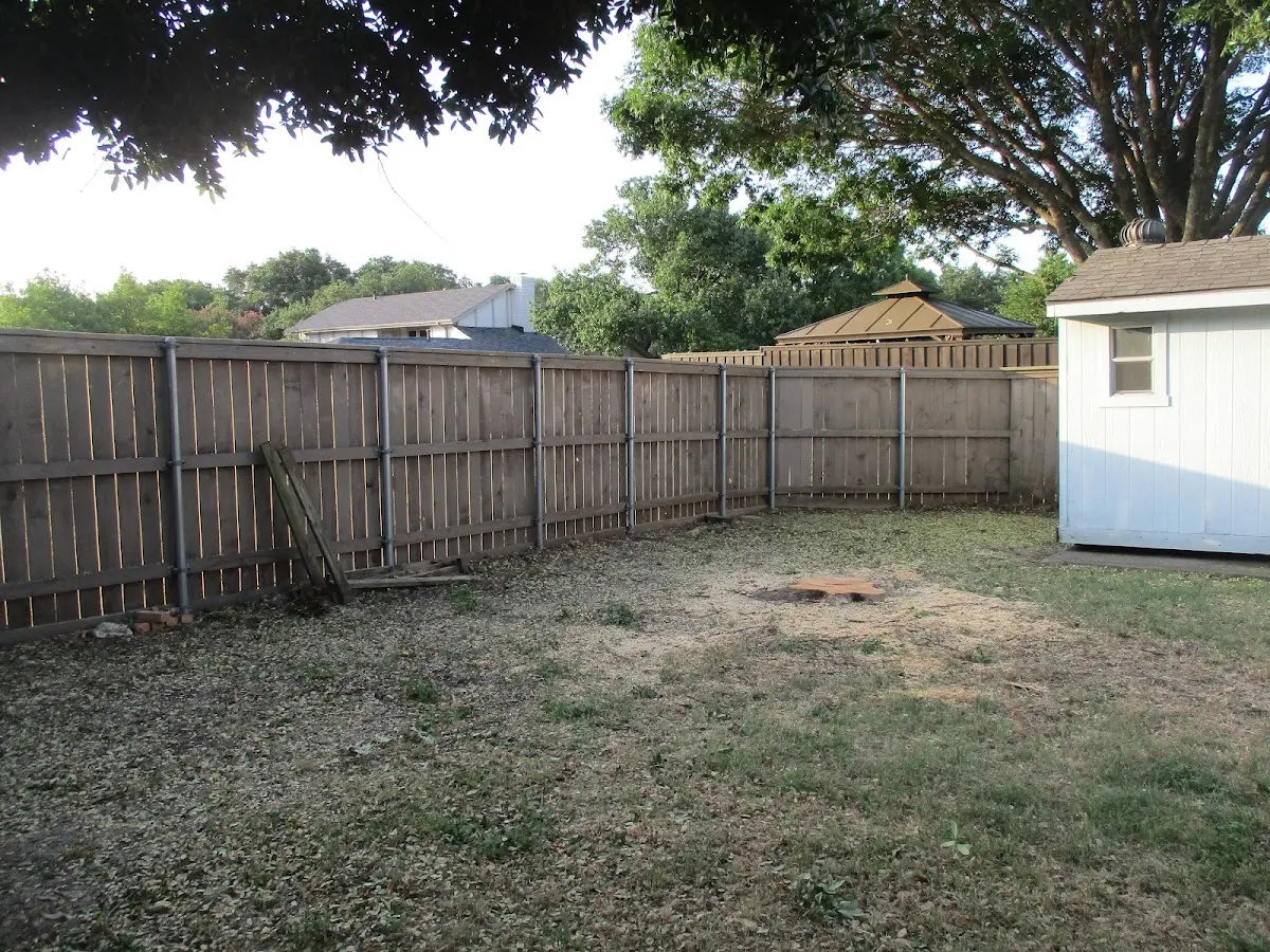 Cleared yard after professional tree removal in Midland